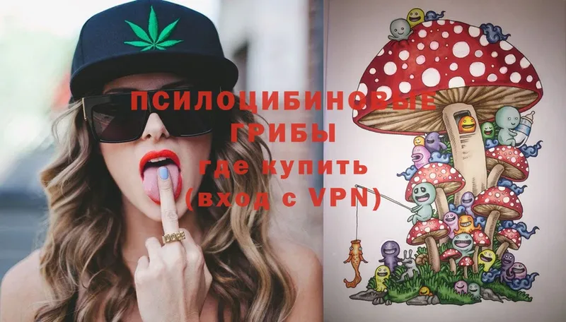 Галлюциногенные грибы Cubensis  где продают наркотики  kraken сайт  Новое Девяткино 